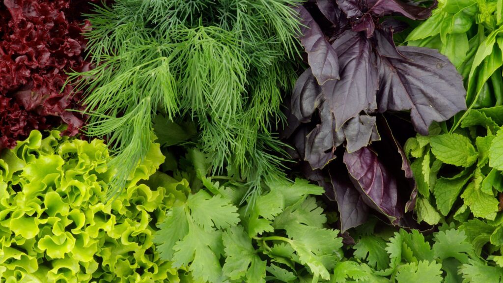Green leafy vegetables brain-boosting Food